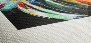 Picture for category Canvas