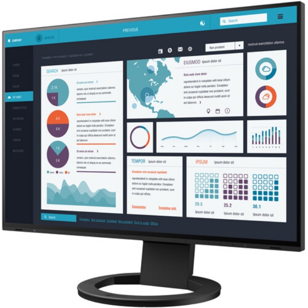 EIZO FlexScan EV2495FX-BK 24.1" Color LCD Docking IPS Monitor (Black) with FlexStand