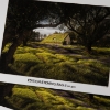 Canson Infinity Edition Etching Rag II 310gsm Matte 36"x39' Roll 3" Core
