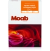 Moab Bright Artist Cards 5.25" x 5.25" Square (25 cards/25 envelopes)